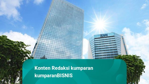Bri Tercatat Sebagai Bank Di Indonesia Dengan Pengelolaan Risiko Esg